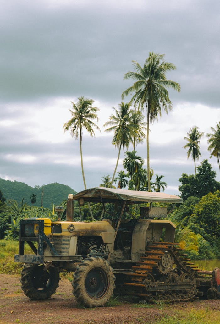 A rustic tractor in a tropical field with palm trees, perfect for agricultural themes.